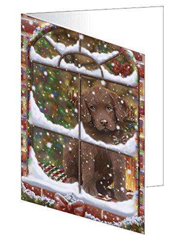Please Come Home For Christmas Chesapeake Bay Retriever Dog Sitting In Window Handmade Artwork Assorted Pets Greeting Cards and Note Cards with Envelopes for All Occasions and Holiday Seasons GCD49349