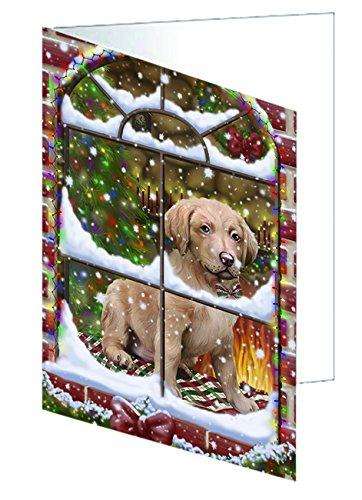 Please Come Home For Christmas Chesapeake Bay Retriever Dog Sitting In Window Handmade Artwork Assorted Pets Greeting Cards and Note Cards with Envelopes for All Occasions and Holiday Seasons