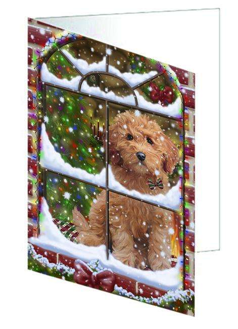 Please Come Home For Christmas Goldendoodle Dog Sitting In Window Handmade Artwork Assorted Pets Greeting Cards and Note Cards with Envelopes for All Occasions and Holiday Seasons GCD64925