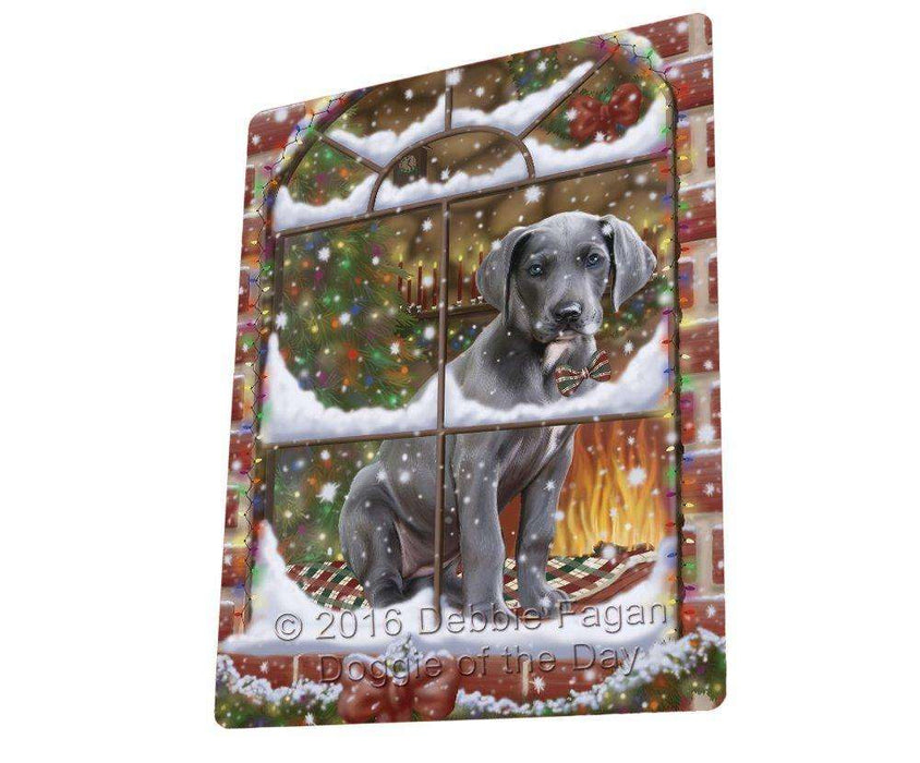 Please Come Home For Christmas Great Dane Dog Sitting In Window Blanket BLNKT54039