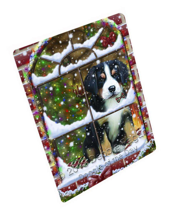 Please Come Home For Christmas Greater Swiss Mountain Dog Sitting In Window Blanket BLNKT100047