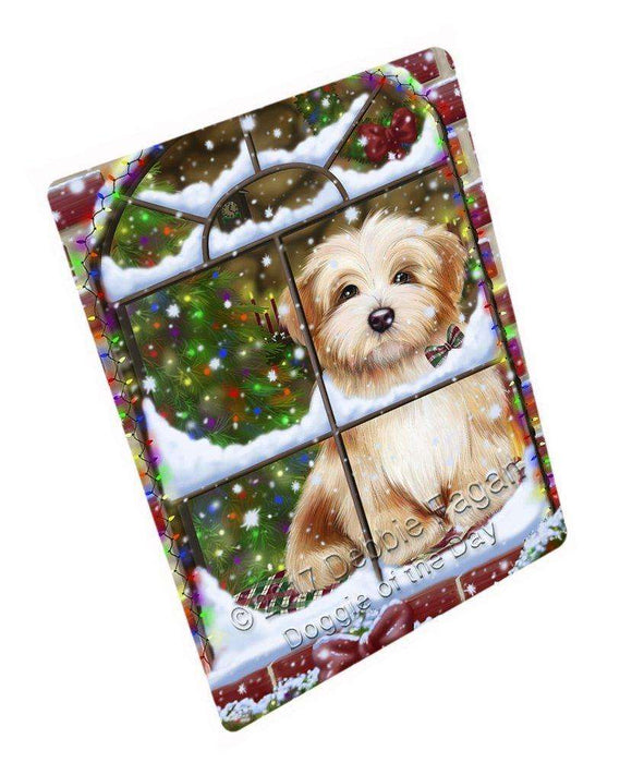 Please Come Home For Christmas Havanese Dog Sitting In Window Art Portrait Print Woven Throw Sherpa Plush Fleece Blanket D118