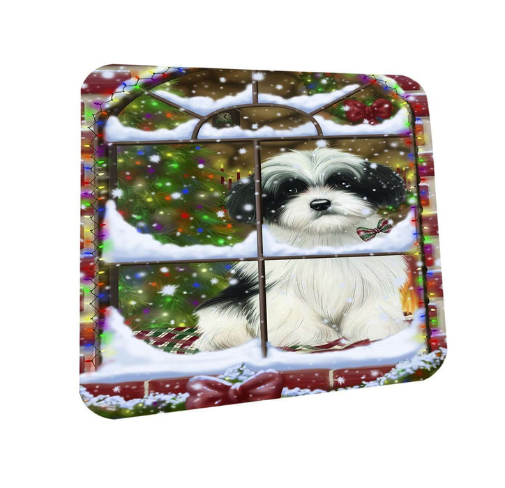 Please Come Home For Christmas Havanese Dog Sitting In Window Coasters Set of 4 CST48367