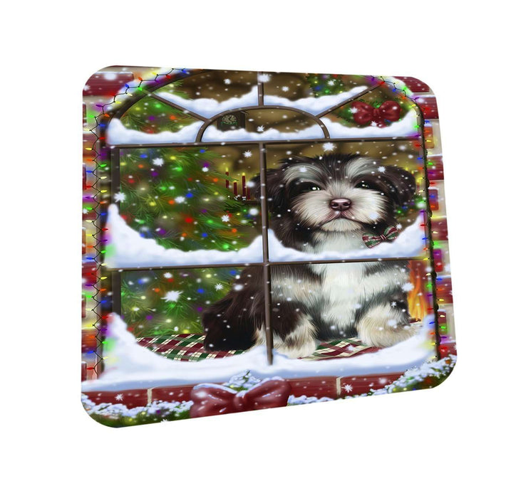 Please Come Home For Christmas Havanese Dog Sitting In Window Coasters Set of 4 CST48368