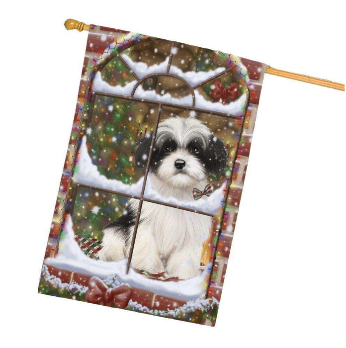 Please Come Home For Christmas Havanese Dog Sitting In Window House Flag FLG48421