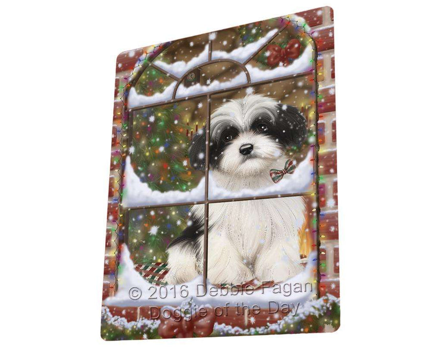 Please Come Home For Christmas Havanese Dog Sitting In Window Magnet Mini (3.5" x 2") MAG50019