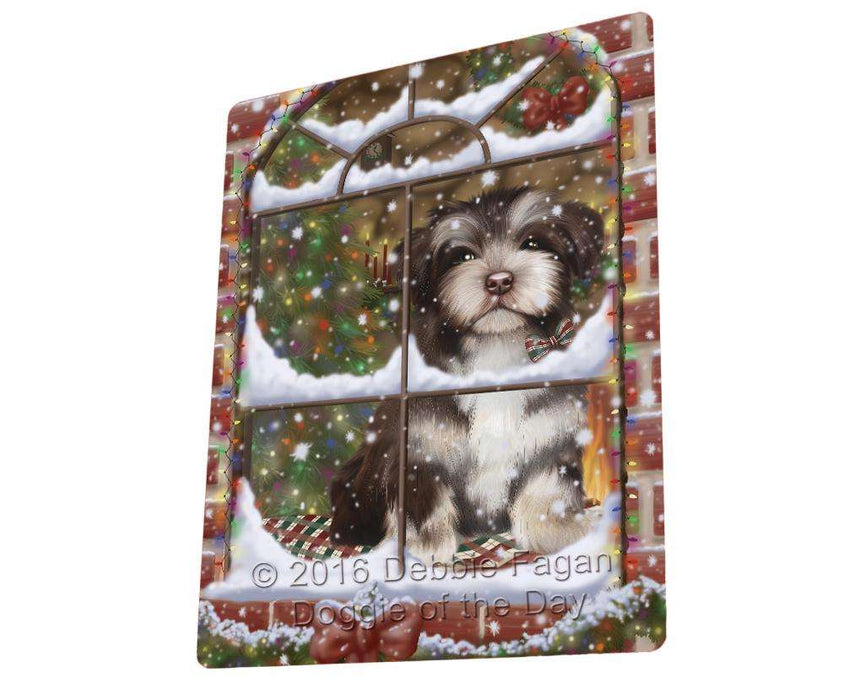 Please Come Home For Christmas Havanese Dog Sitting In Window Magnet Mini (3.5" x 2") MAG50022