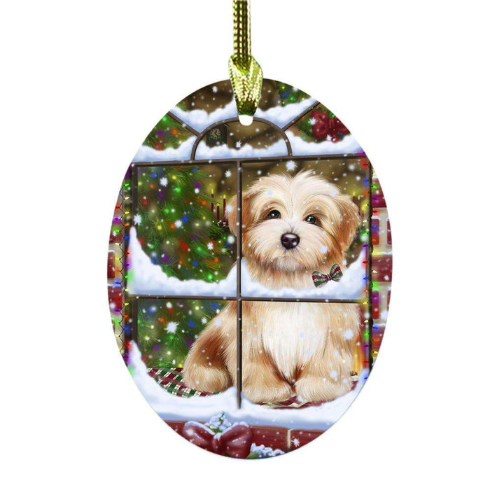 Please Come Home For Christmas Havanese Dog Sitting In Window Oval Glass Christmas Ornament OGOR49176