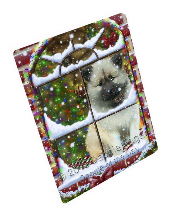 Please Come Home For Christmas Keeshond Dog Sitting In Window Blanket BLNKT100065