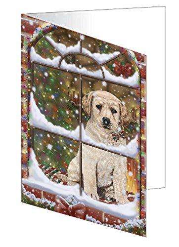 Please Come Home For Christmas Labradors Dog Sitting In Window Handmade Artwork Assorted Pets Greeting Cards and Note Cards with Envelopes for All Occasions and Holiday Seasons GCD49409