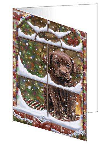 Please Come Home For Christmas Labradors Dog Sitting In Window Handmade Artwork Assorted Pets Greeting Cards and Note Cards with Envelopes for All Occasions and Holiday Seasons GCD49412