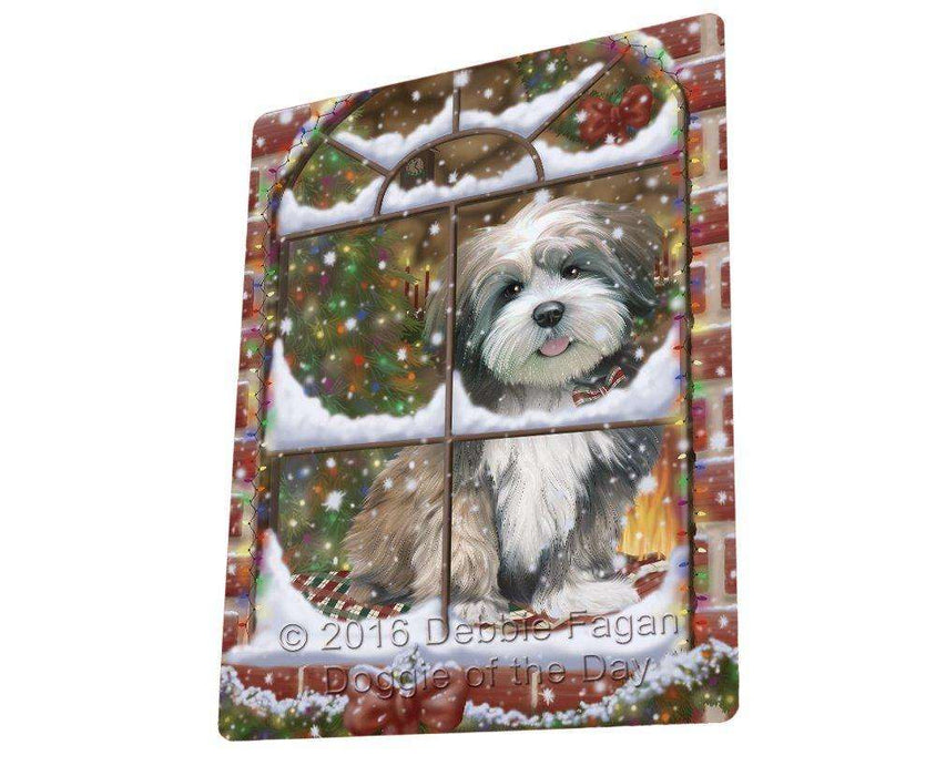 Please Come Home For Christmas Lhasa Apso Dog Sitting In Window Blanket BLNKT54111
