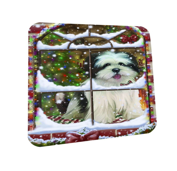 Please Come Home For Christmas Lhasa Apso Dog Sitting In Window Coasters Set of 4 CST48374