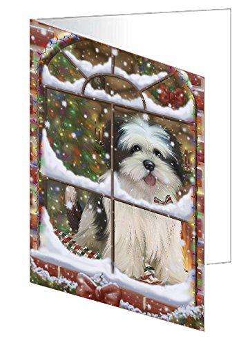 Please Come Home For Christmas Lhasa Apso Dog Sitting In Window Handmade Artwork Assorted Pets Greeting Cards and Note Cards with Envelopes for All Occasions and Holiday Seasons GCD49421