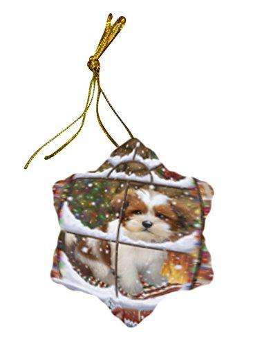 Please Come Home For Christmas Lhasa Apso Dog Sitting In Window Star Porcelain Ornament SPOR48570