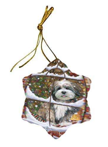 Please Come Home For Christmas Lhasa Apso Dog Sitting In Window Star Porcelain Ornament SPOR48571