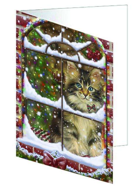 Please Come Home For Christmas Maine Coon Cat Sitting In Window Handmade Artwork Assorted Pets Greeting Cards and Note Cards with Envelopes for All Occasions and Holiday Seasons GCD64940