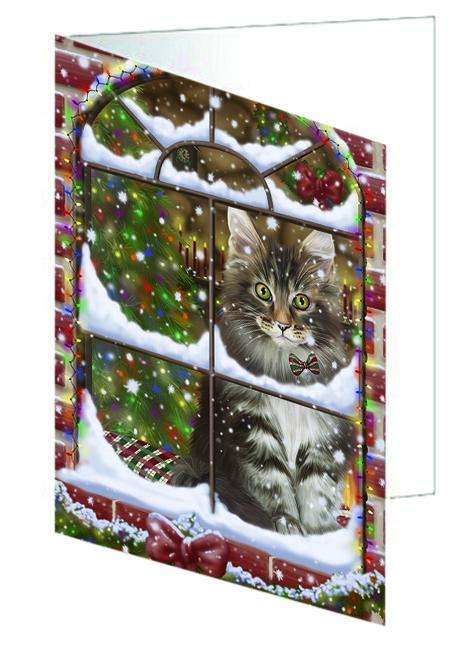 Please Come Home For Christmas Maine Coon Cat Sitting In Window Handmade Artwork Assorted Pets Greeting Cards and Note Cards with Envelopes for All Occasions and Holiday Seasons GCD64946