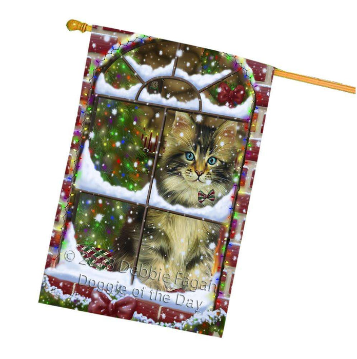 Please Come Home For Christmas Maine Coon Cat Sitting In Window House Flag FLG53835