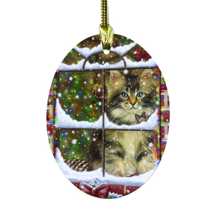 Please Come Home For Christmas Maine Coon Cat Sitting In Window Oval Glass Christmas Ornament OGOR49182