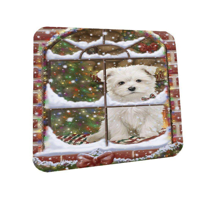 Please Come Home For Christmas Maltese Dog Sitting In Window Coasters Set of 4