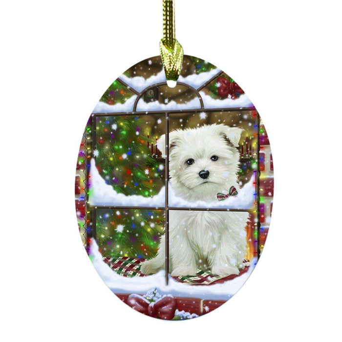 Please Come Home For Christmas Maltese Dog Sitting In Window Oval Glass Christmas Ornament OGOR49185