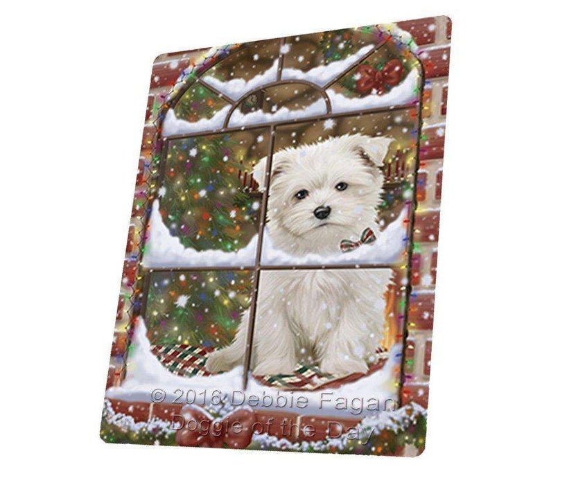 Please Come Home For Christmas Maltese Sitting In Window Art Portrait Print Woven Throw Sherpa Plush Fleece Blanket