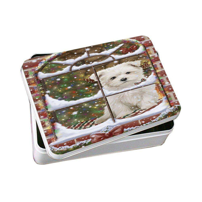 Please Come Home For Christmas Maltese Sitting In Window Photo Storage Tin