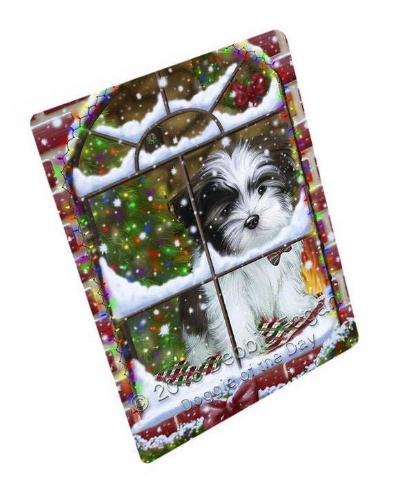 Please Come Home For Christmas Malti Tzu Dog Sitting In Window Blanket BLNKT100110