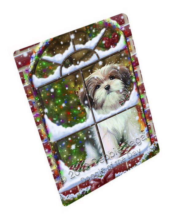 Please Come Home For Christmas Malti Tzu Dog Sitting In Window Blanket BLNKT100119