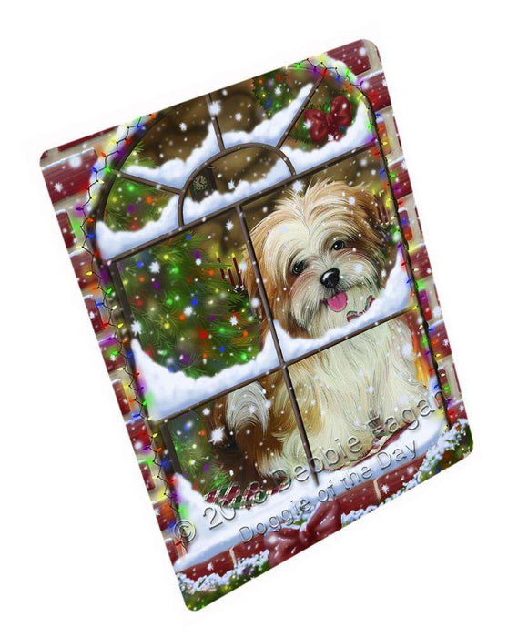 Please Come Home For Christmas Malti Tzu Dog Sitting In Window Blanket BLNKT100128