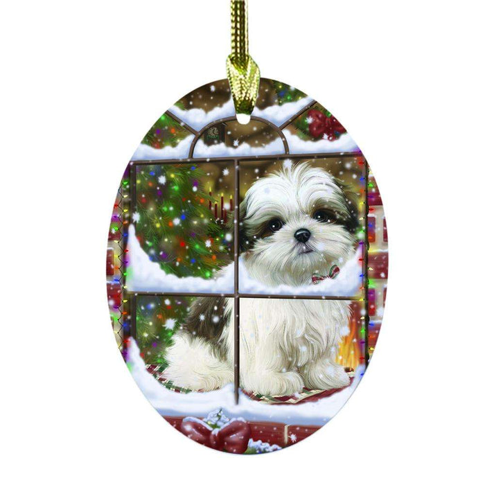 Please Come Home For Christmas Malti Tzu Dog Sitting In Window Oval Glass Christmas Ornament OGOR49186