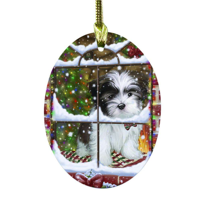 Please Come Home For Christmas Malti Tzu Dog Sitting In Window Oval Glass Christmas Ornament OGOR49187