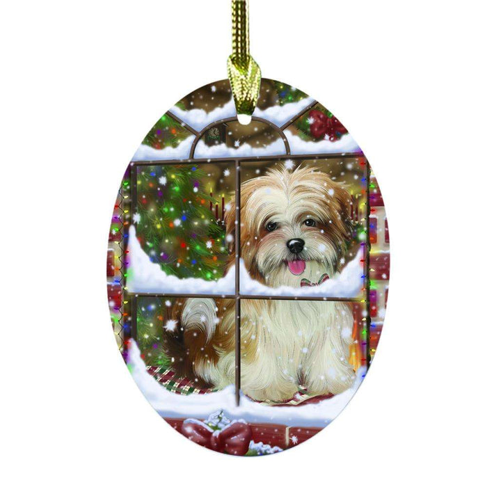 Please Come Home For Christmas Malti Tzu Dog Sitting In Window Oval Glass Christmas Ornament OGOR49189