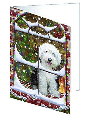 Please Come Home For Christmas Old English Sheepdog Dog Sitting In Window Handmade Artwork Assorted Pets Greeting Cards and Note Cards with Envelopes for All Occasions and Holiday Seasons