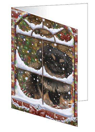 Please Come Home For Christmas Pekingese Dog Sitting In Window Handmade Artwork Assorted Pets Greeting Cards and Note Cards with Envelopes for All Occasions and Holiday Seasons GCD49424