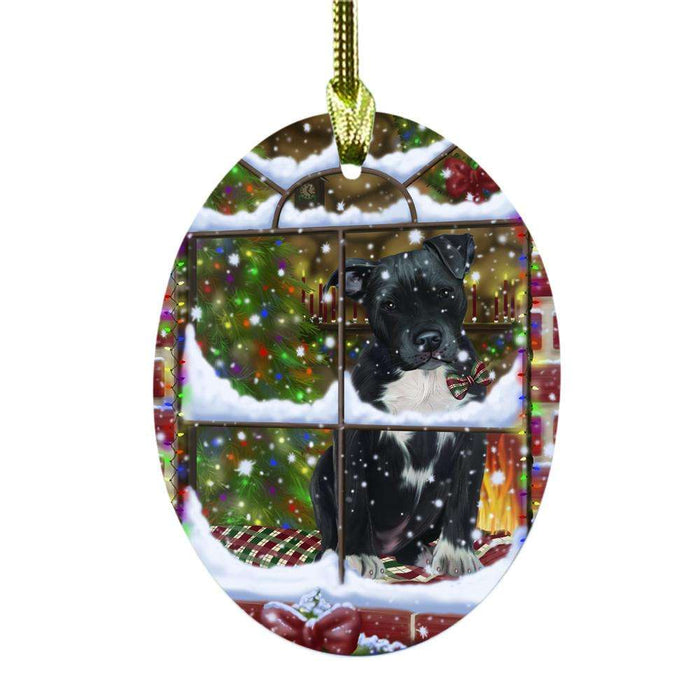 Please Come Home For Christmas Pit Bull Dog Sitting In Window Oval Glass Christmas Ornament OGOR49193