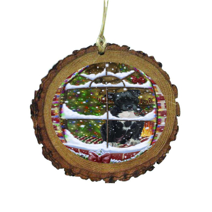 Please Come Home For Christmas Pit Bull Dog Sitting In Window Wooden Christmas Ornament WOR49193