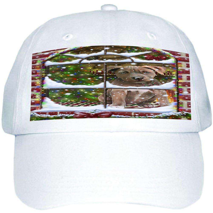 Please Come Home For Christmas Pit Bull Dog Sitting In Window Ball Hat Cap HAT48990