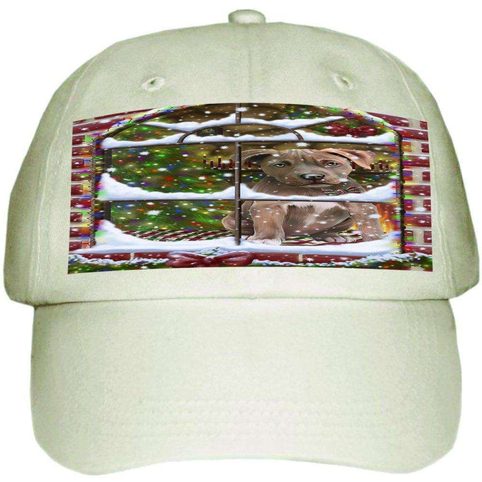 Please Come Home For Christmas Pit Bull Dog Sitting In Window Ball Hat Cap HAT48990
