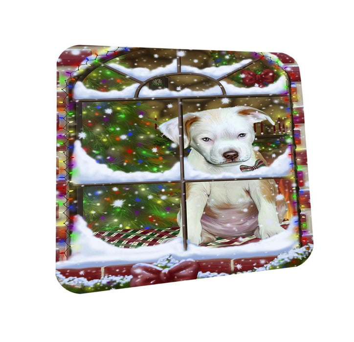 Please Come Home For Christmas Pit Bull Dog Sitting In Window Coasters Set of 4 CST48376
