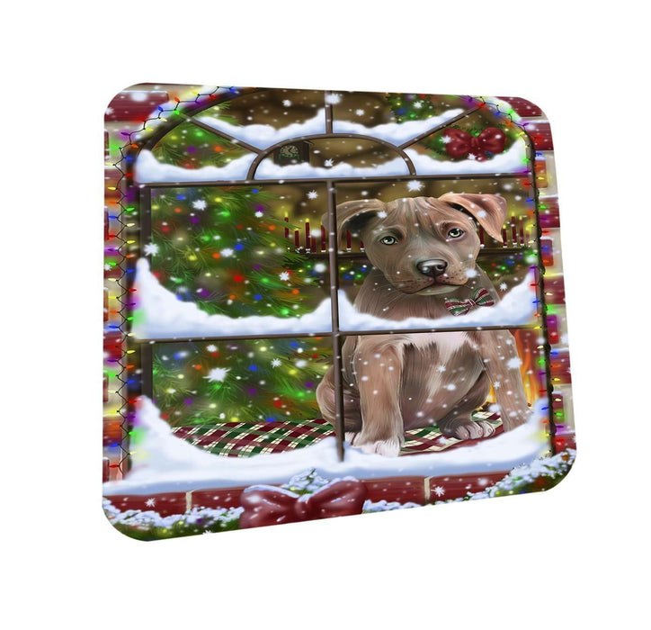 Please Come Home For Christmas Pit Bull Dog Sitting In Window Coasters Set of 4 CST48378