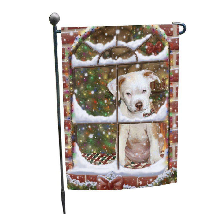 Please Come Home For Christmas Pit Bull Dog Sitting In Window Garden Flag GFLG48375