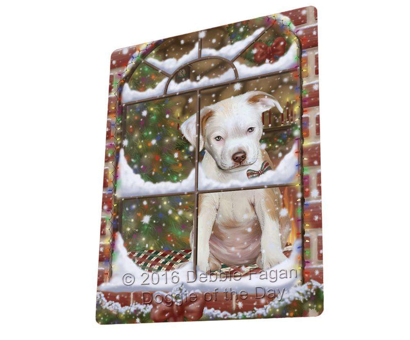 Please Come Home For Christmas Pit Bull Dog Sitting In Window Magnet Mini (3.5" x 2") MAG50046