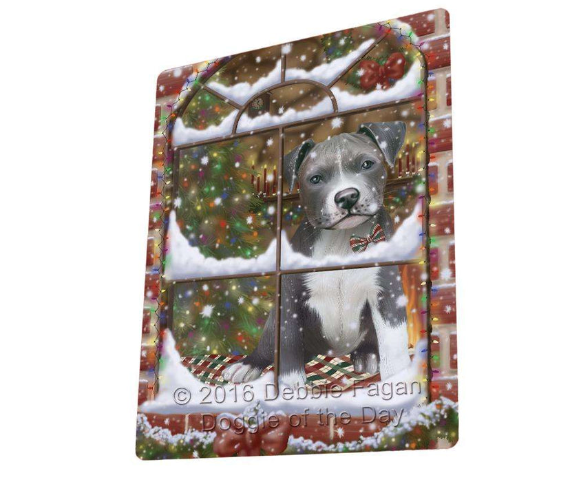 Please Come Home For Christmas Pit Bull Dog Sitting In Window Magnet Mini (3.5" x 2") MAG50049