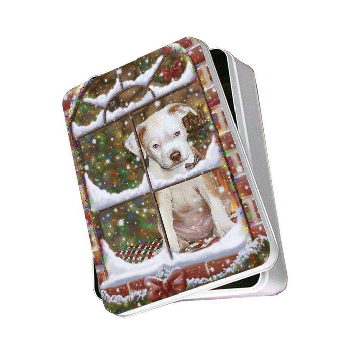 Please Come Home For Christmas Pit Bull Dog Sitting In Window Photo Storage Tin PITN48417