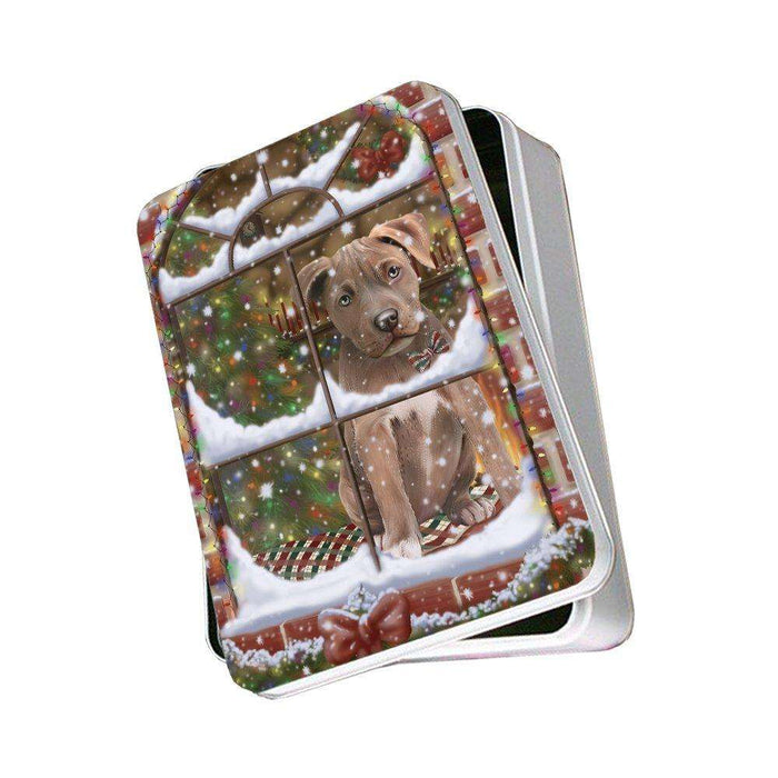 Please Come Home For Christmas Pit Bull Dog Sitting In Window Photo Storage Tin PITN48419