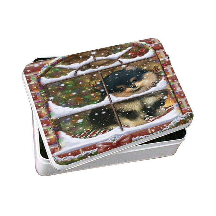 Please Come Home For Christmas Pomeranians Sitting In Window Photo Storage Tin