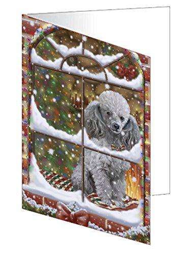 Please Come Home For Christmas Poodle Dog Sitting In Window Handmade Artwork Assorted Pets Greeting Cards and Note Cards with Envelopes for All Occasions and Holiday Seasons GCD49436