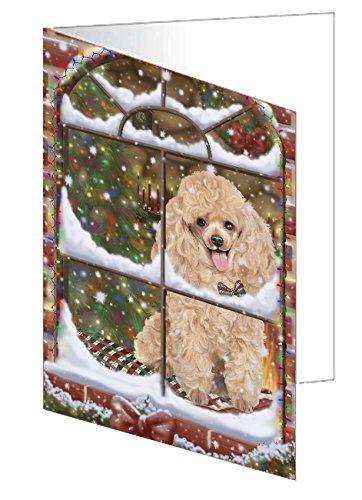 Please Come Home For Christmas Poodle Dog Sitting In Window Handmade Artwork Assorted Pets Greeting Cards and Note Cards with Envelopes for All Occasions and Holiday Seasons GCD49442